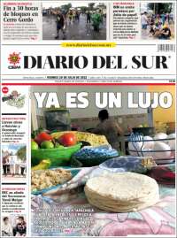 El Diario del Sur