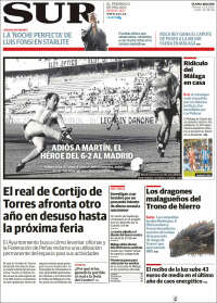 Diario el Sur