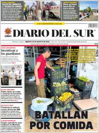 El Diario del Sur