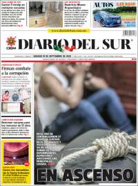 El Diario del Sur