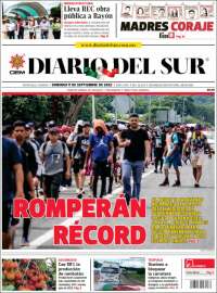 El Diario del Sur