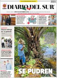 El Diario del Sur