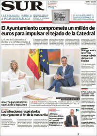 Diario el Sur