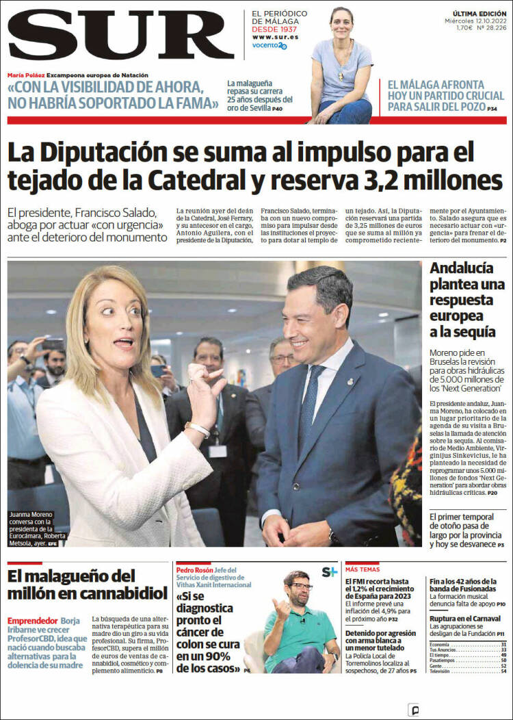 Portada de Diario el Sur (Espa&ntilde;a)