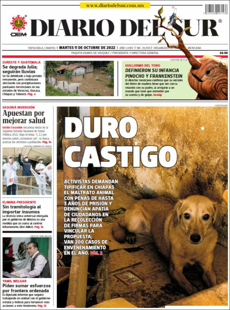 Portada de El Diario del Sur (México)