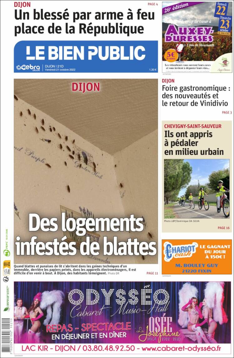 Portada de Le Bien Public (France)