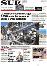 Diario el Sur