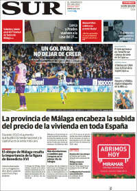 Diario el Sur