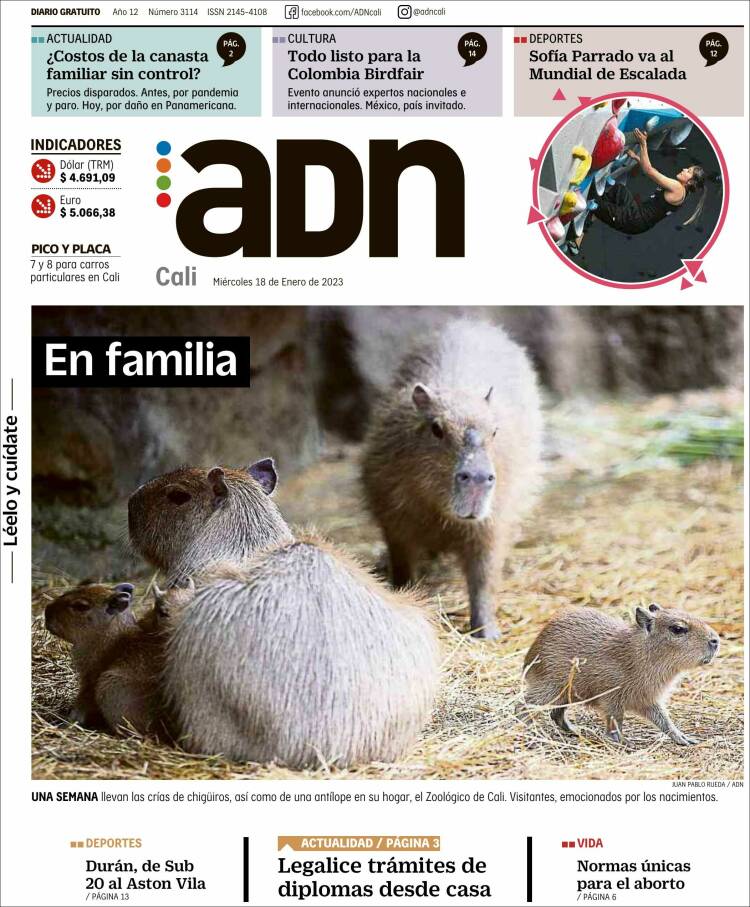 Portada de ADN - Cali (Colombia)