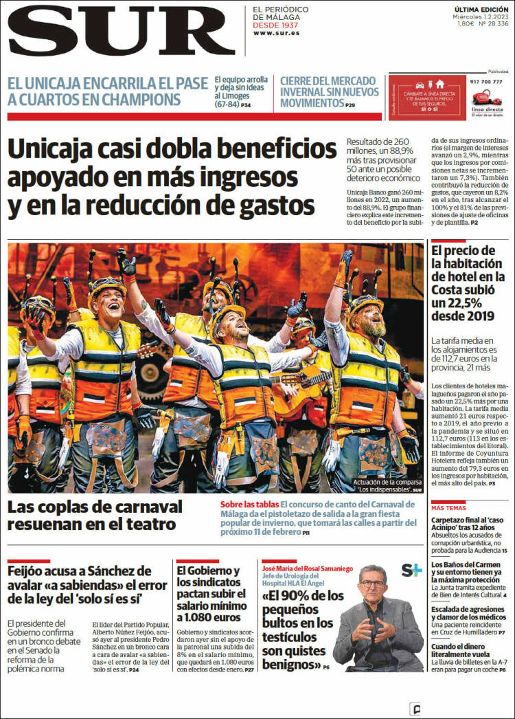 Portada de Diario el Sur (España)