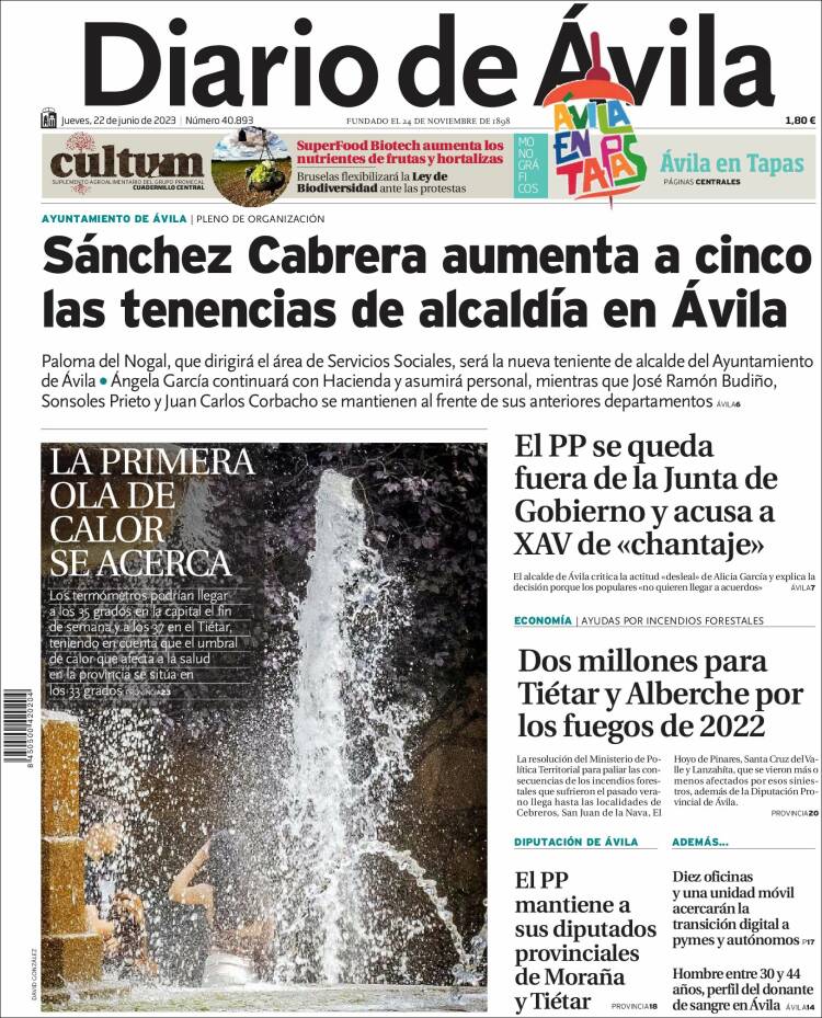 Portada de Diario de Ávila (España)