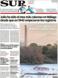 Diario el Sur