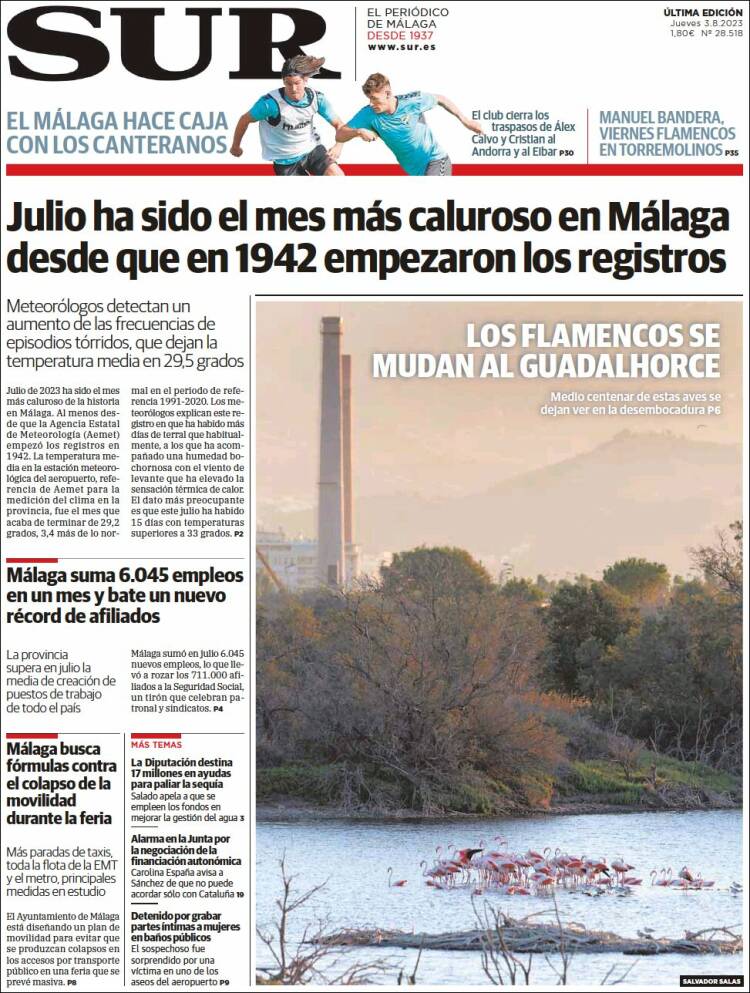 Portada de Diario el Sur (Spain)