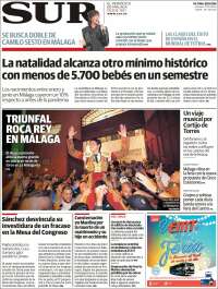 Diario el Sur