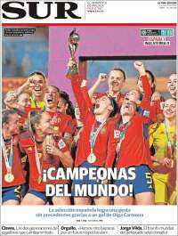 Diario el Sur