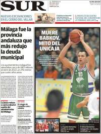 Diario el Sur
