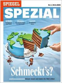 Der Spiegel