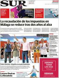Diario el Sur