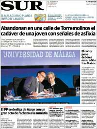 Diario el Sur
