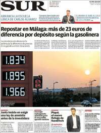 Diario el Sur