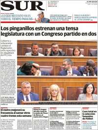 Diario el Sur