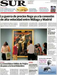 Diario el Sur