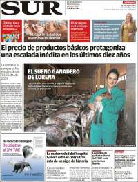 Diario el Sur