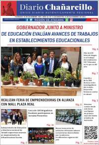 Diario Chañarcillo
