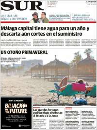 Diario el Sur