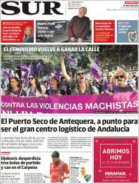 Diario el Sur