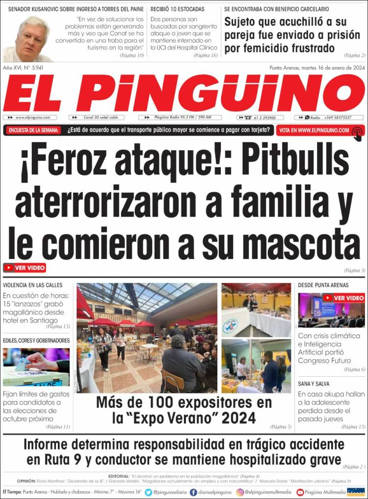 Portada de El Pingüino (Chile)