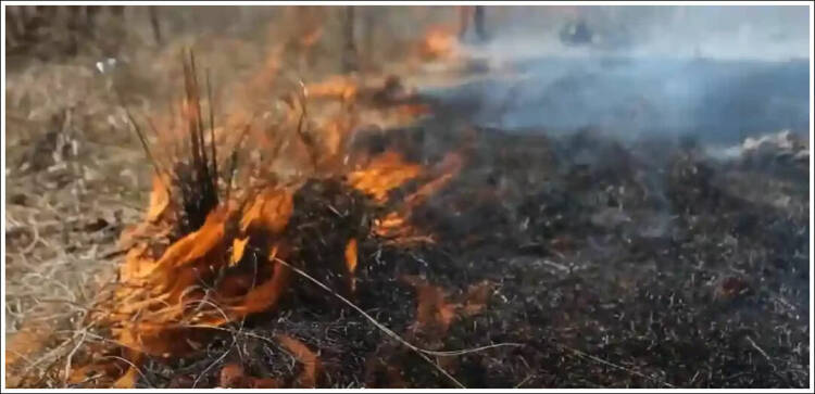Portada de La Jornada Veracruz (M&eacute;xico)