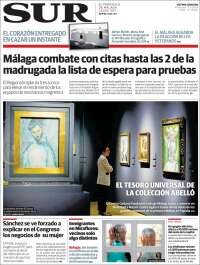 Diario el Sur