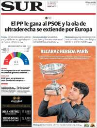 Diario el Sur