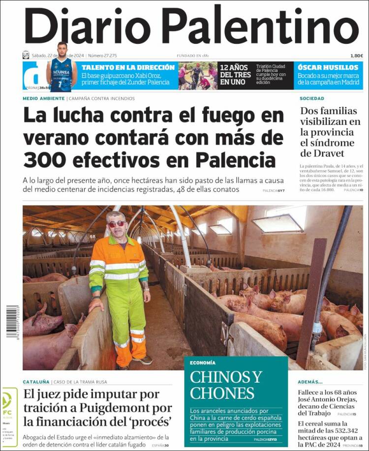 Portada de Diario Palentino (España)