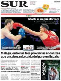 Diario el Sur