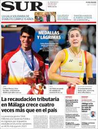 Diario el Sur