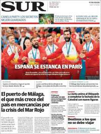 Diario el Sur