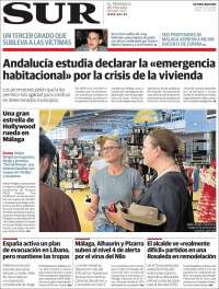 Diario el Sur