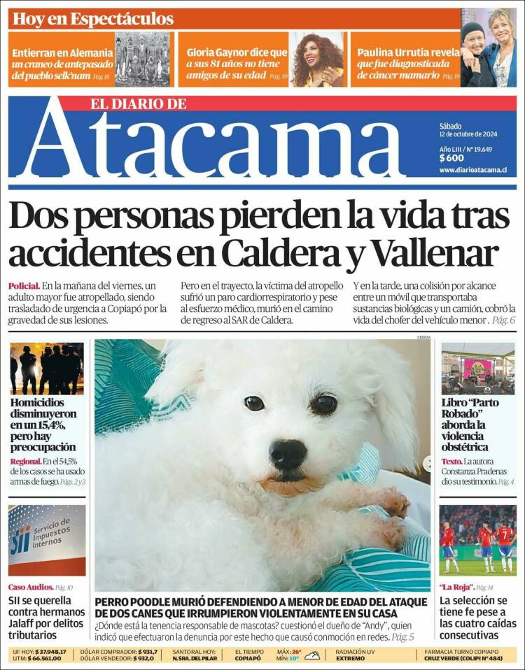 Portada de Diario de Atacama (Chile)