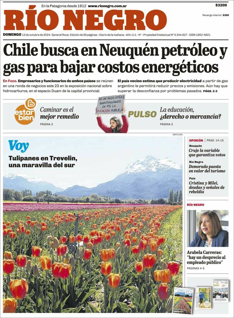 Portada de Rio Negro (Argentina)