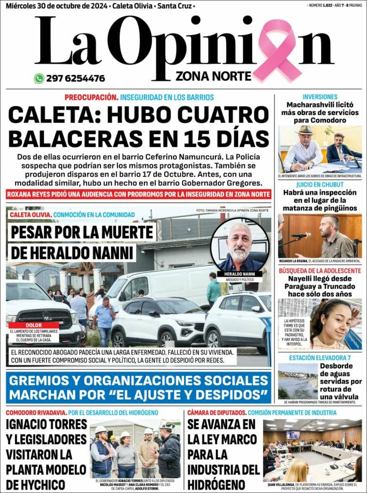 Portada de La Opinión Zona Norte (Argentina)