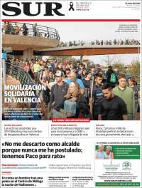 Diario el Sur