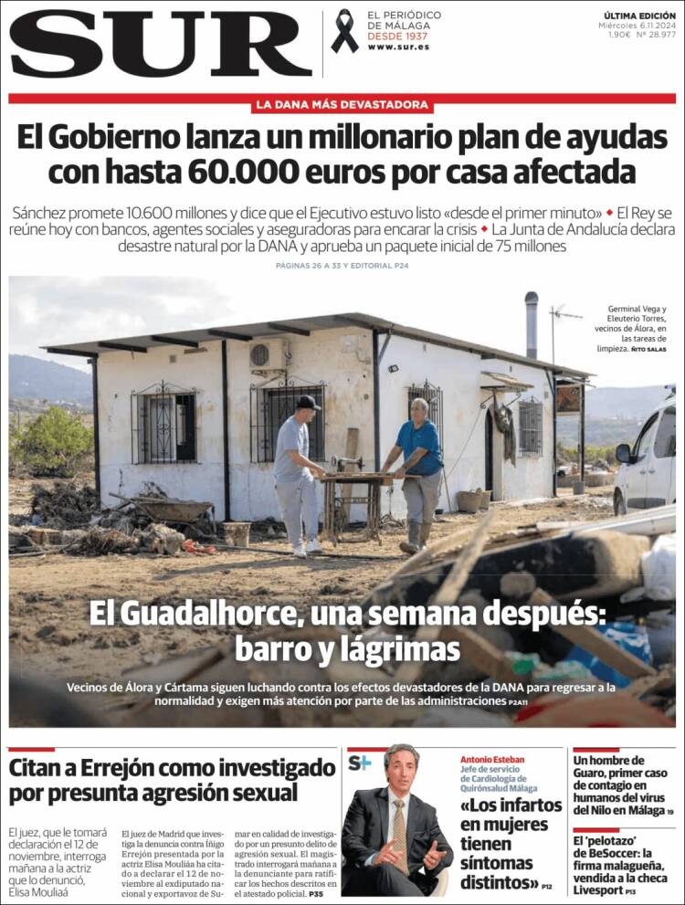 Portada de Diario el Sur (España)