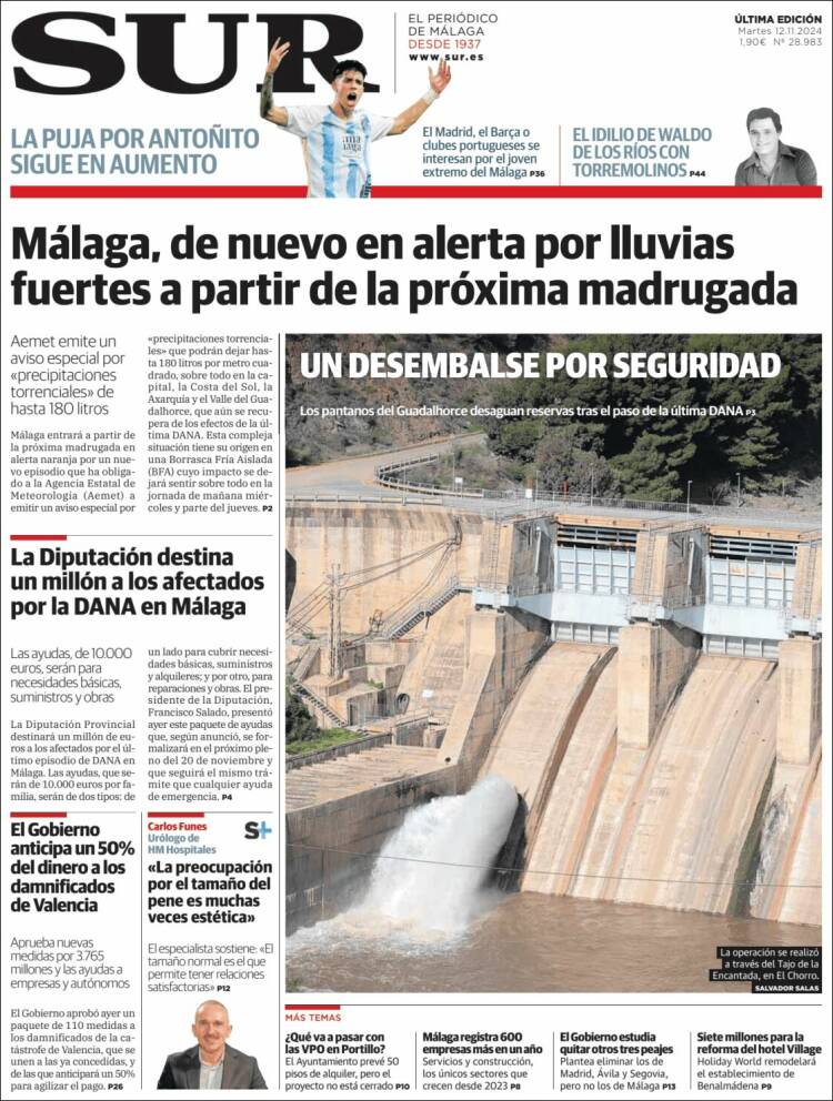 Portada de Diario el Sur (España)