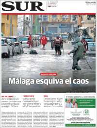 Diario el Sur