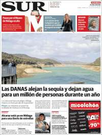 Diario el Sur