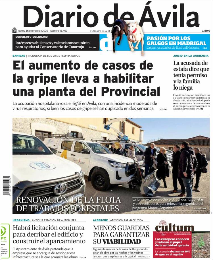 Portada de Diario de Ávila (España)