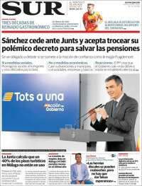 Diario el Sur