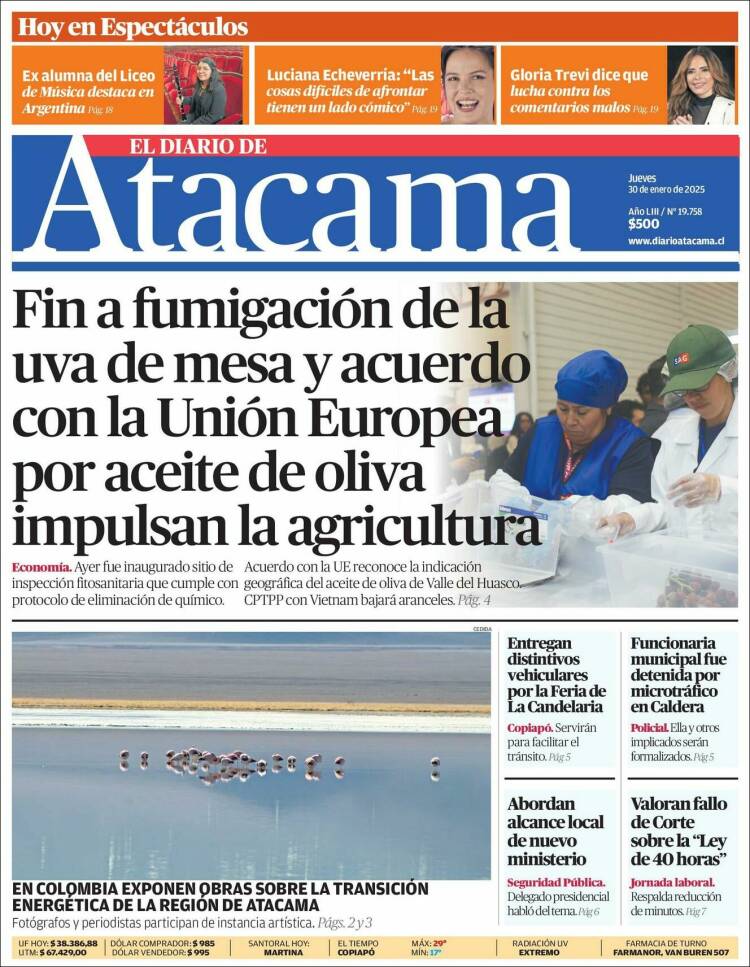 Portada de Diario de Atacama (Chile)